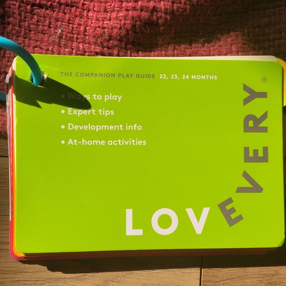 The Companion Playguid3 - Picture 1 of 1